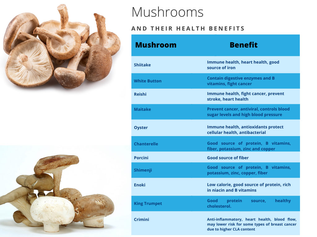 chart showing the benefits of different kinds of mushrooms.