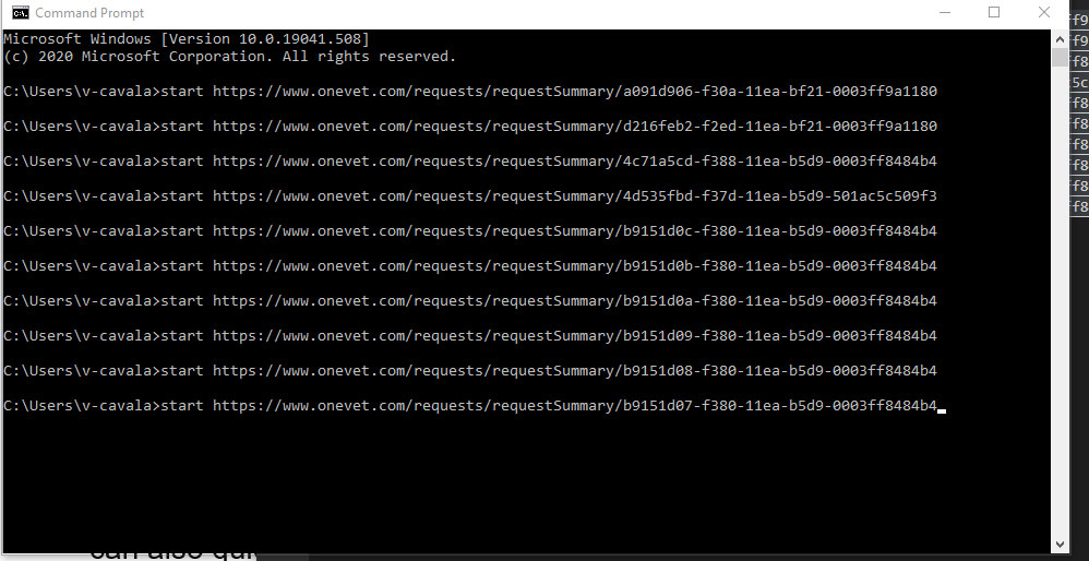 Image showing the command prompt in excel to automate a process.